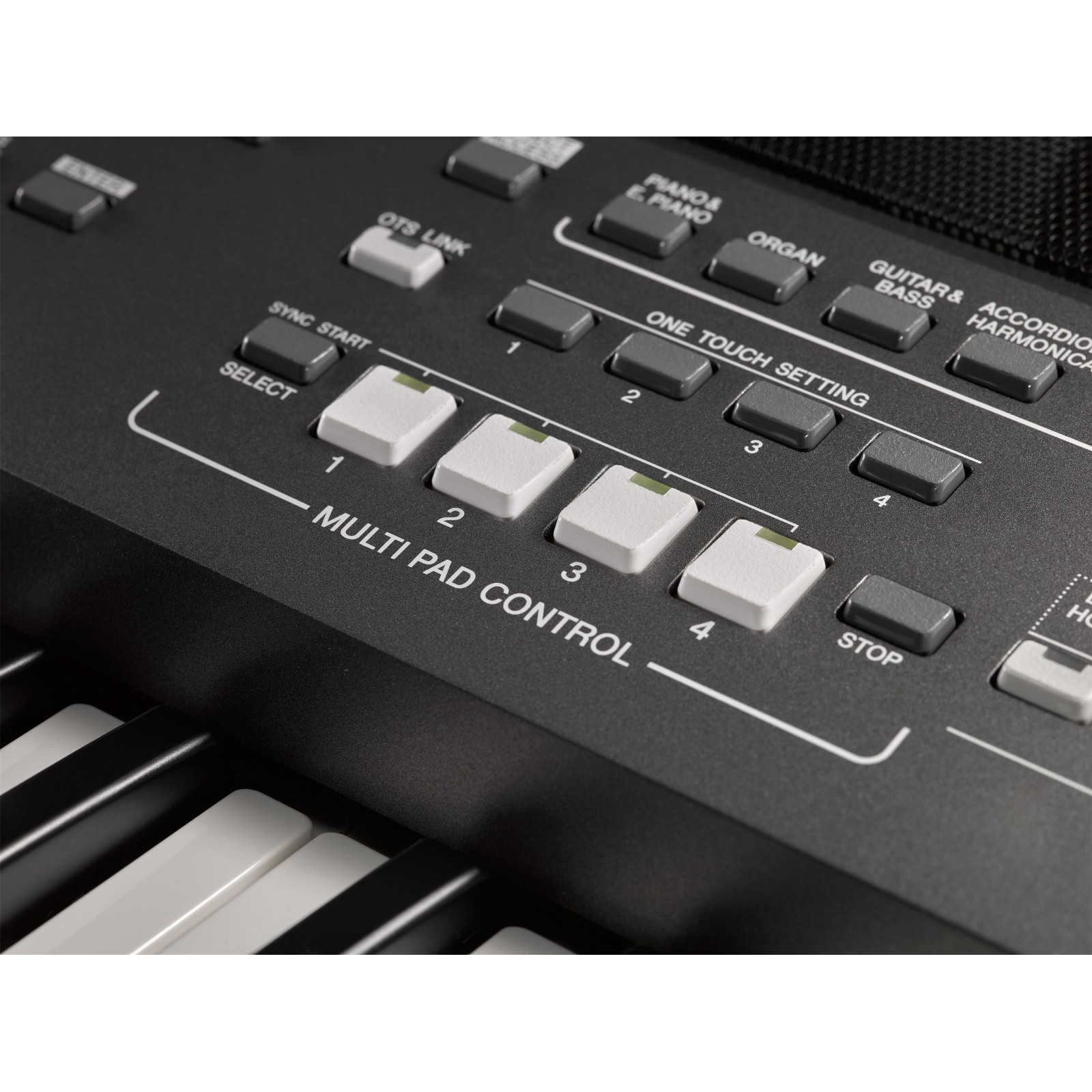 MUSIC STORE KB-6 Pied de clavier X, charge max.12 kg
