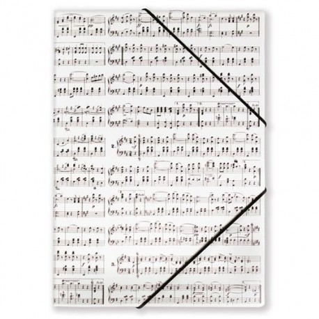 File with elastic band Strauss - Papeterie