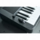 Casio CT-S500 - Clavier 61 touches dynamiques noir avec accompagnements et controle d'effets live