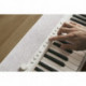 Casio CT-S1-76WE - Clavier 76 touches dynamiques blanc avec sonorités de claviers vintages