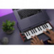 Akai Professional LPK25MK2 - Clavier maitre USB 25 mini notes compact